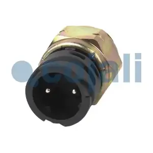 2260339 COJALI