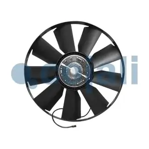 7065406 COJALI