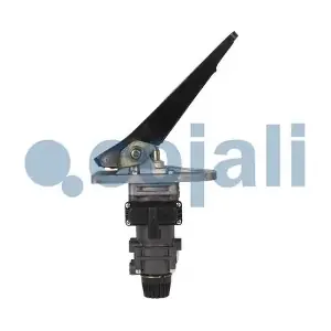 354041 COJALI