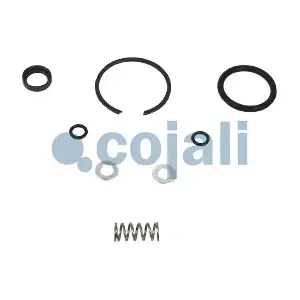 6012293 COJALI
