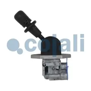 2224543 COJALI