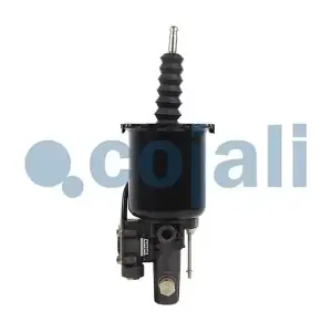 2250299 COJALI