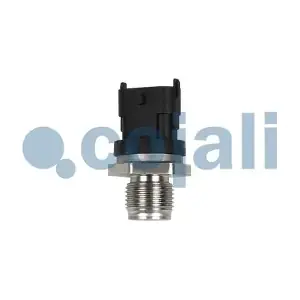 2260986 COJALI