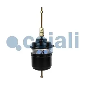 2251527 COJALI