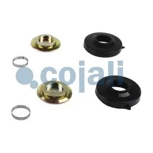 6086038 COJALI