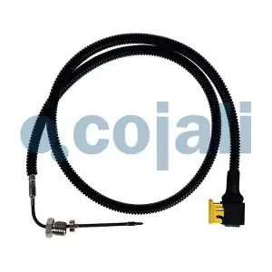 2260884 COJALI