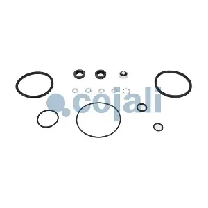 6014145 COJALI
