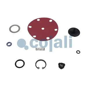 6012106 COJALI