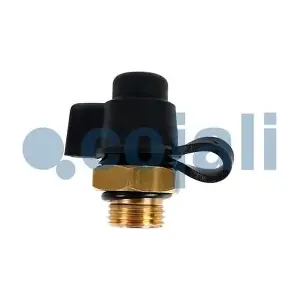 6002305 COJALI