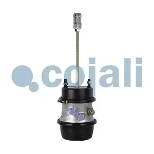 2251426 COJALI