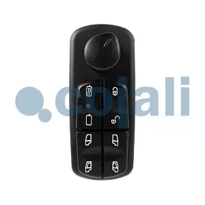 2260613 COJALI