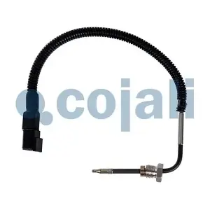 2262065 COJALI