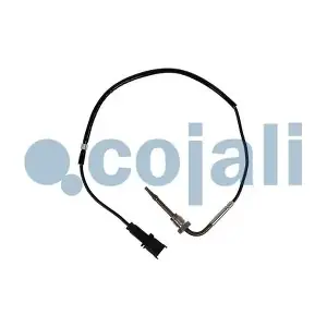 2262016 COJALI