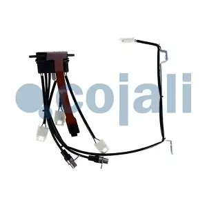 2261204 COJALI