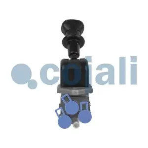2224515 COJALI