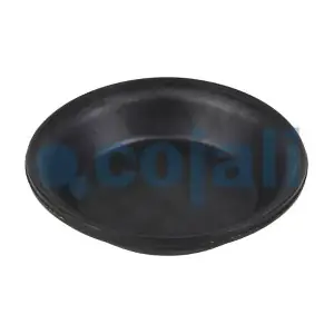 6001108 COJALI