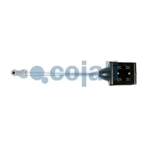 6002227 COJALI