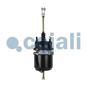 2251402 COJALI