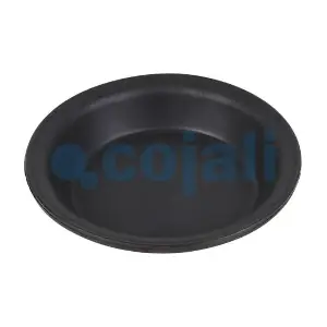 6001124 COJALI
