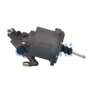 2550304 COJALI