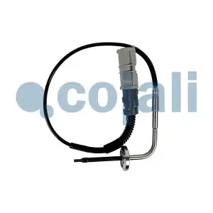 2260895 COJALI