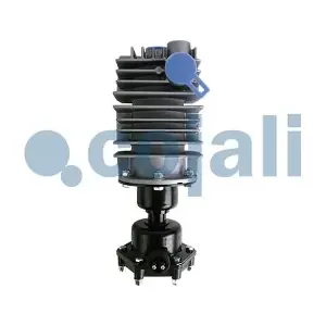2480005 COJALI