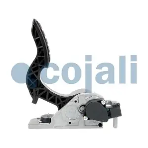 2260503 COJALI