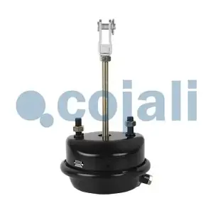 2251111 COJALI