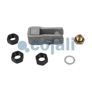 6012294 COJALI