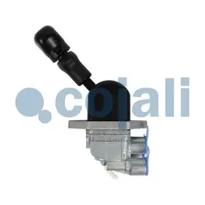 2324301 COJALI