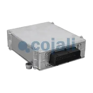 350376 COJALI
