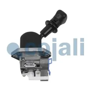 2224572 COJALI