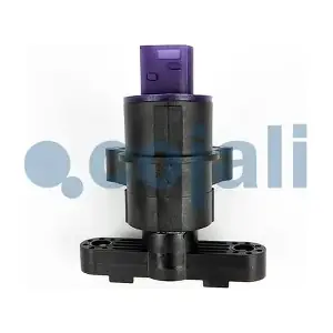 2209114 COJALI