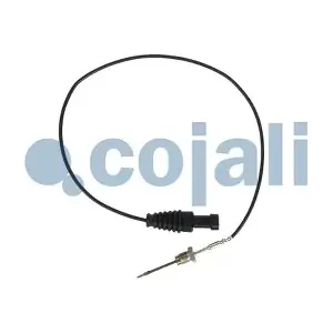 2260899 COJALI