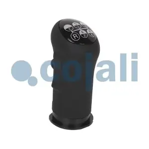2880158 COJALI