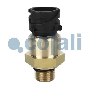 2260264 COJALI