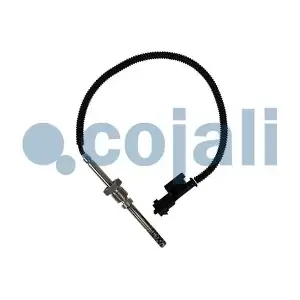 2260903 COJALI