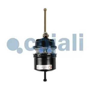 2251606 COJALI
