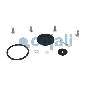 6012258 COJALI