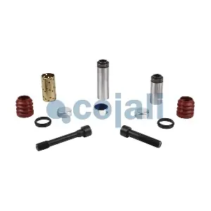 6084019 COJALI