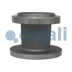 7033421 COJALI