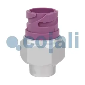 2260259 COJALI