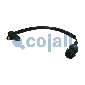 2260302 COJALI