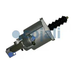 2550811 COJALI