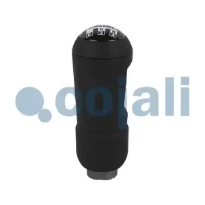2880174 COJALI