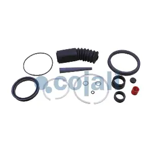 6014130 COJALI