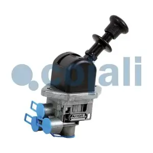 2324120 COJALI