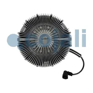 7033426 COJALI