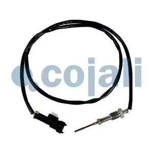 2262657 COJALI