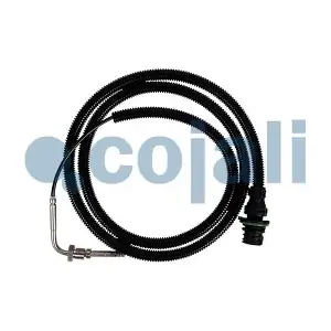 2262003 COJALI